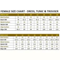 Ladies Healthcare Tunic with Revere Collar (9 Colours) - Image 3